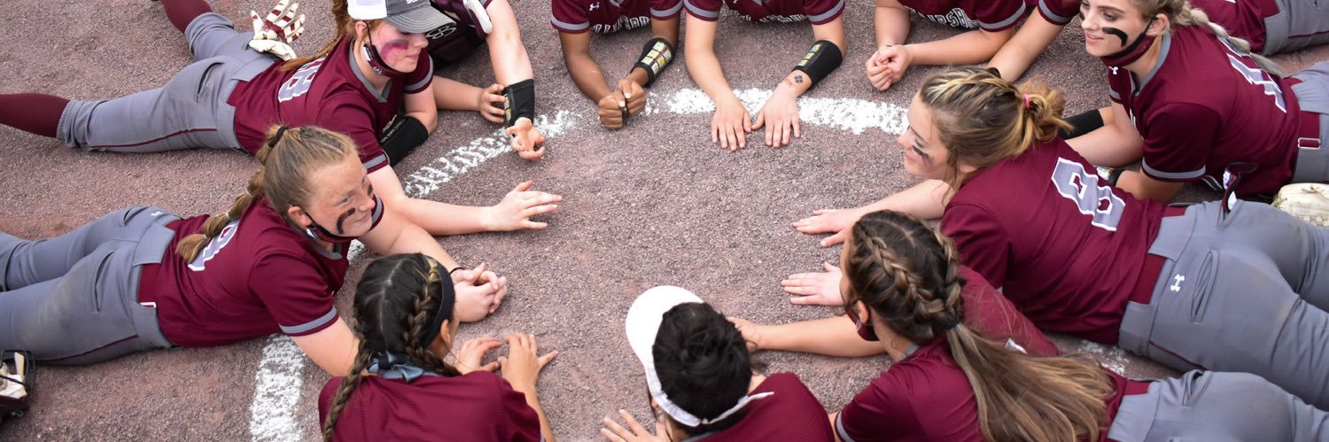 Stateliner Softball banner