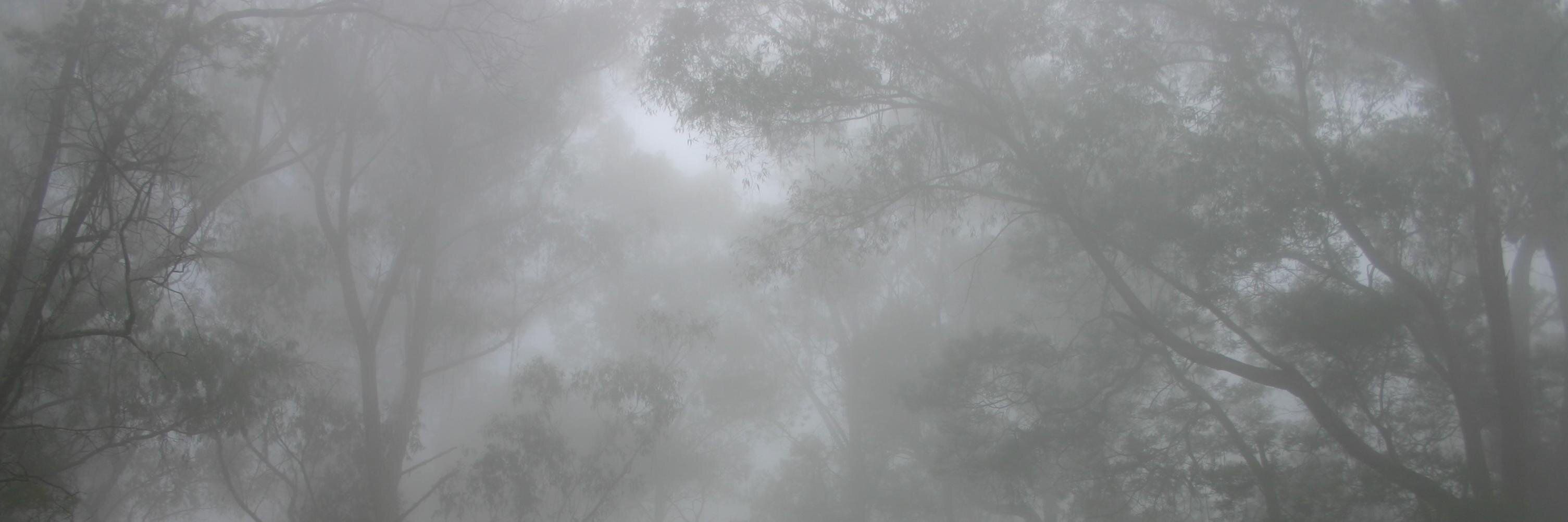 Warwick Smith @warwicksmith.bsky.social banner