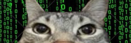 dosukebe_degu's profile banner image