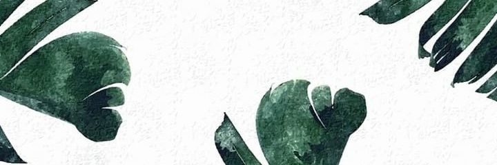 ingridassad's profile banner image