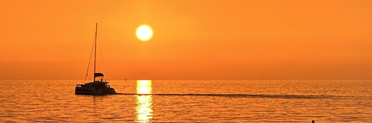 ozgeguldost's profile banner image
