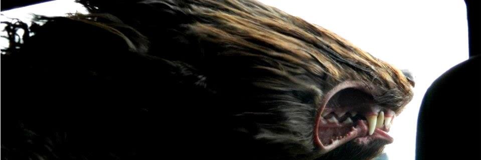 alazgil's profile banner image