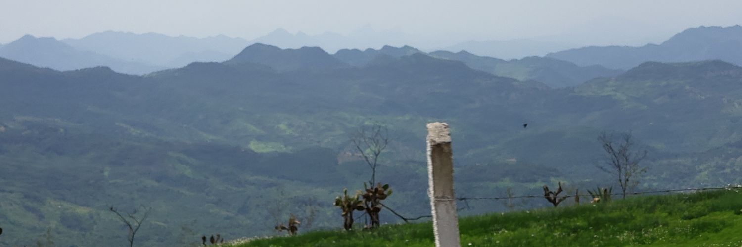 Pedro banner