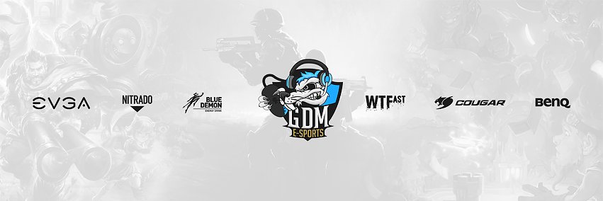 GDM_GaminG's profile banner image