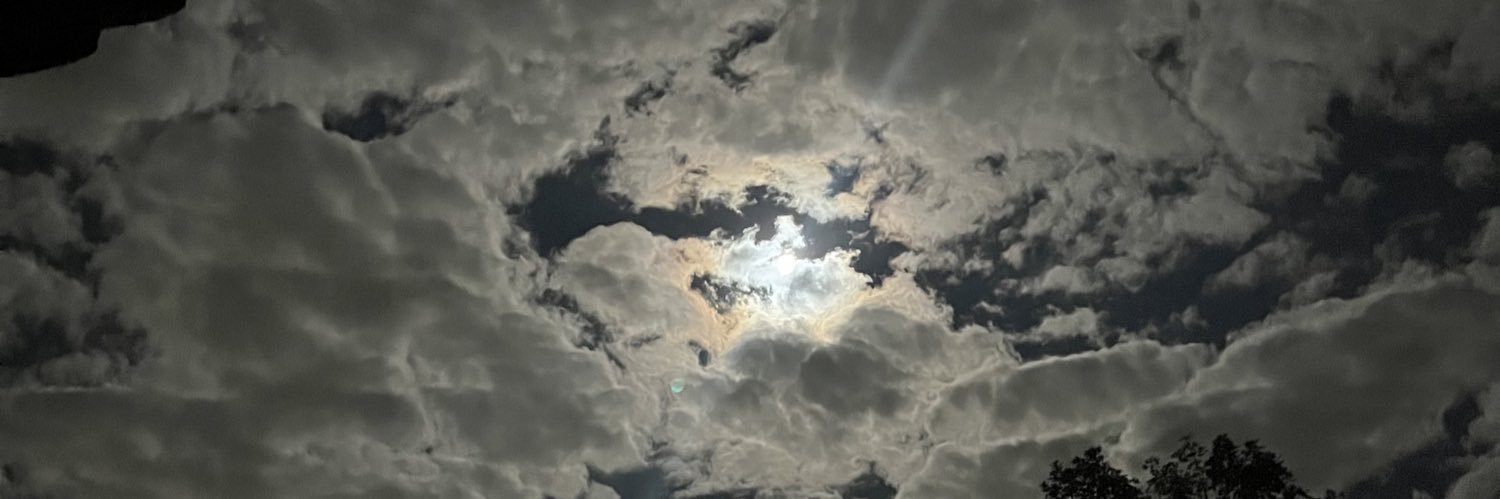adelle32197's profile banner image