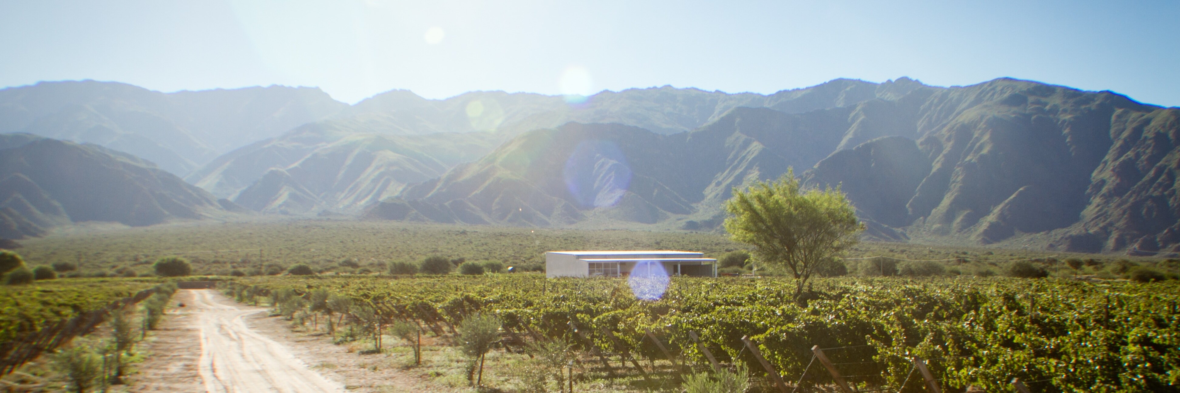 BodegaTukma's profile banner image