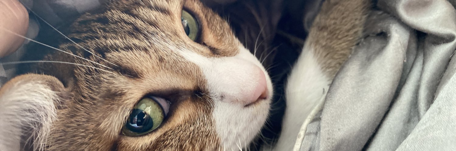 Moontata_y's profile banner image