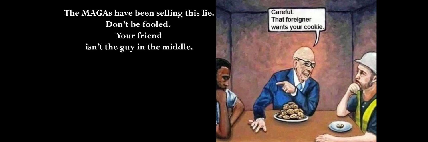 Partisans R Fools banner