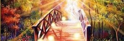RutaDeLuz's profile banner image