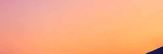 lestock's profile banner image