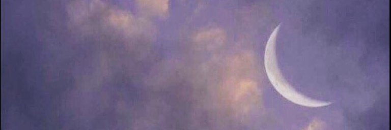 ranaksa02's profile banner image