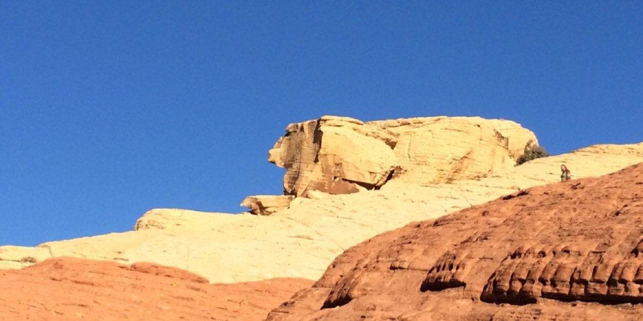  Everett Holm banner