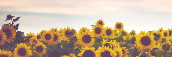 DevianMarie's profile banner image