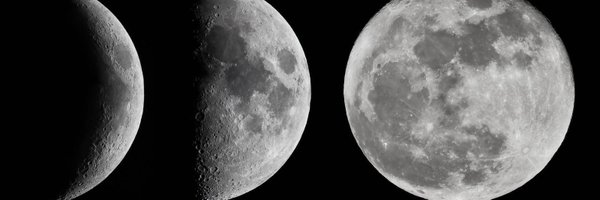 brizzaling Profile Banner