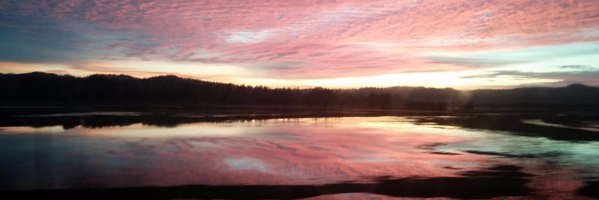 JenDavis37's profile banner image