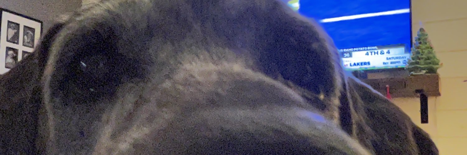 Isabelle Gradwell banner