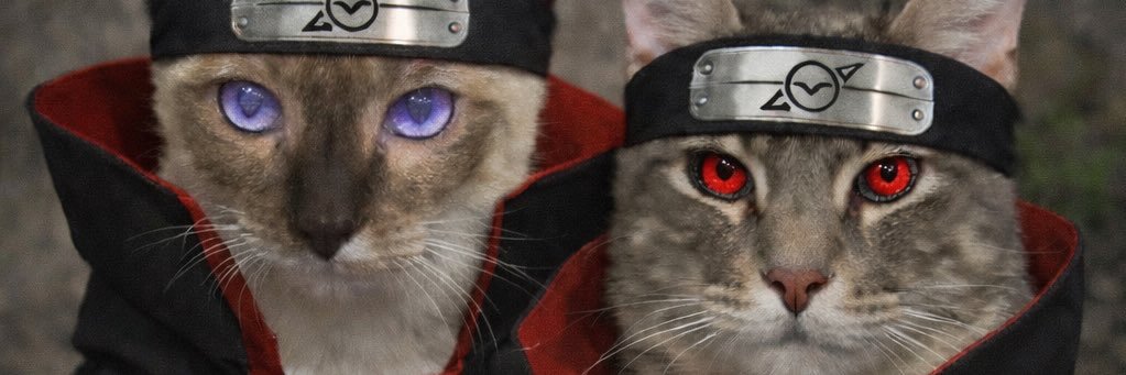 FreiresJhonatan's profile banner image