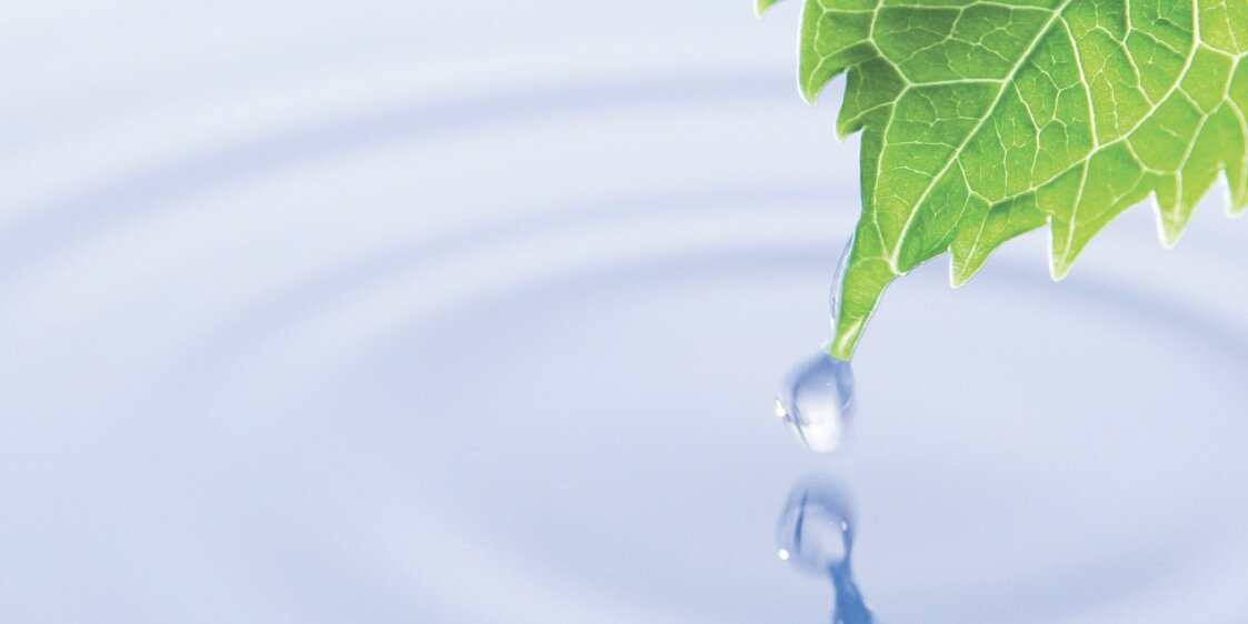 Nutripur Inc. banner