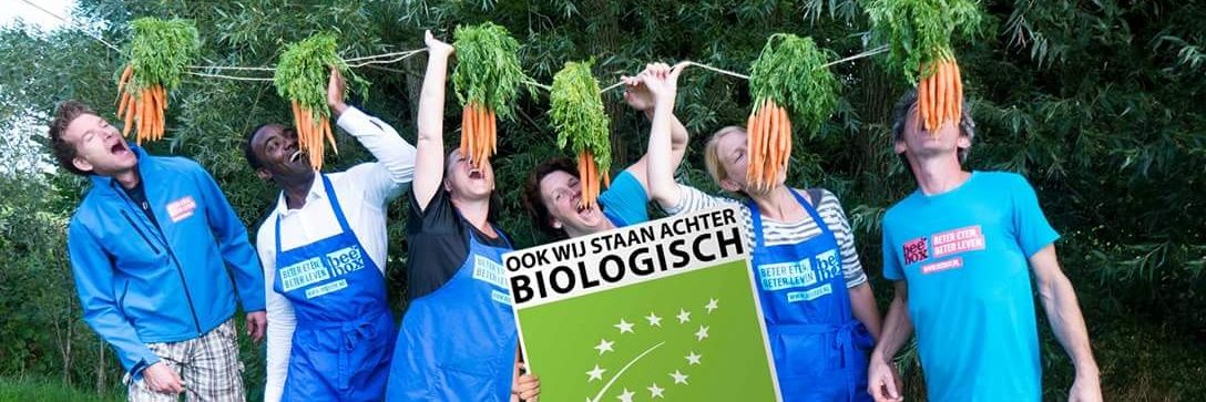KristelSeinen's profile banner image