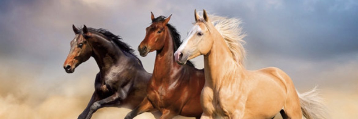 niceduded's profile banner image