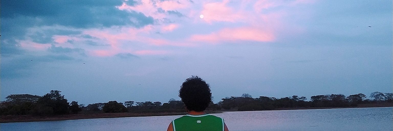 kaisukemunera's profile banner image