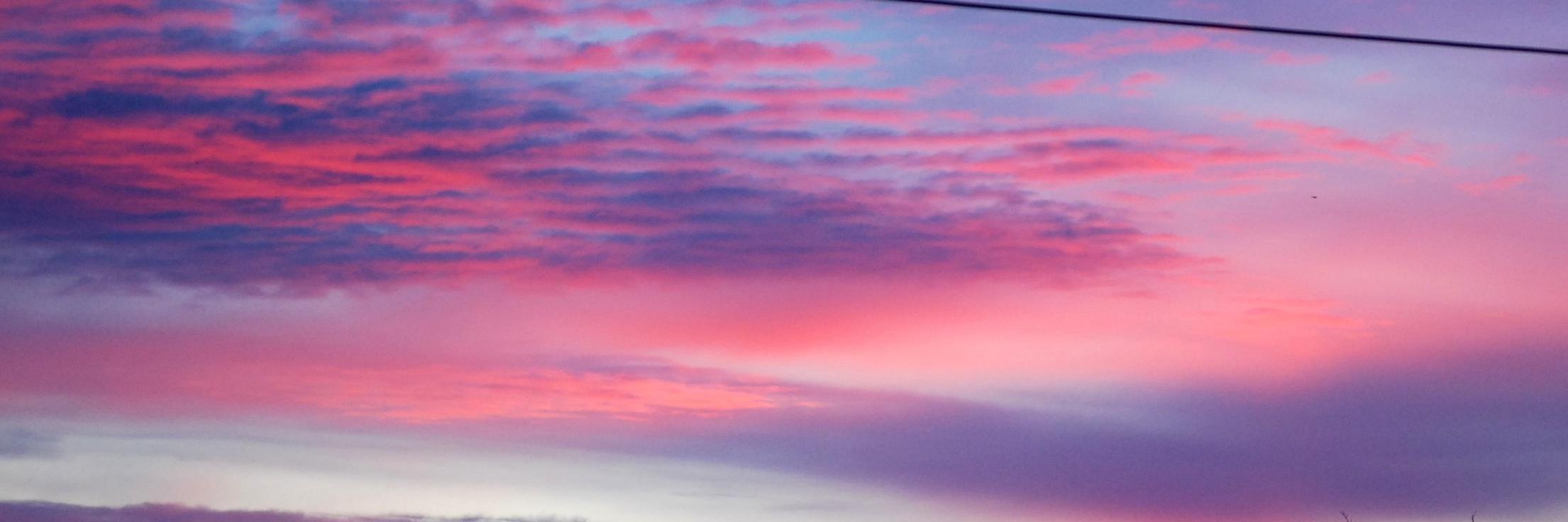 Stephanie Bizzeth banner