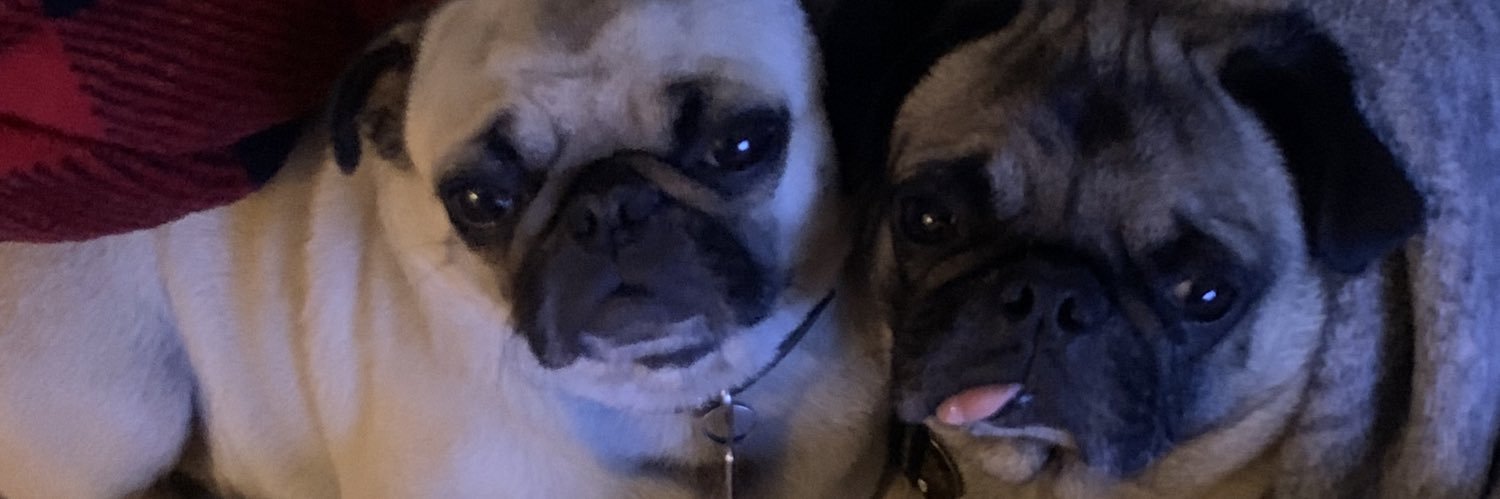 nterwilliger5's profile banner image