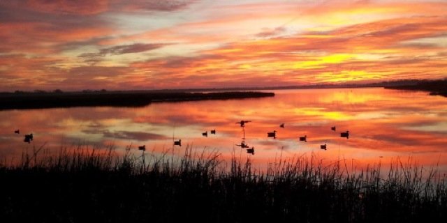 _chanceclement's profile banner image
