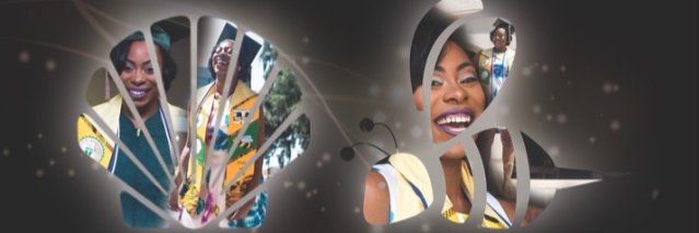 madambeeshell's profile banner image