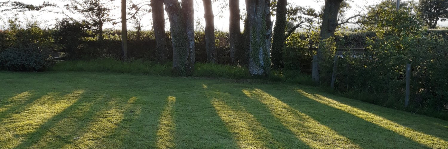 Ceallach1967's profile banner image