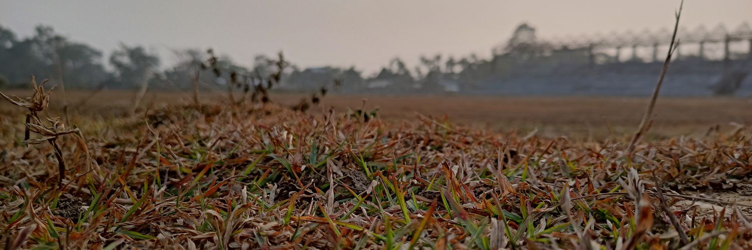 lentasticbbc's profile banner image