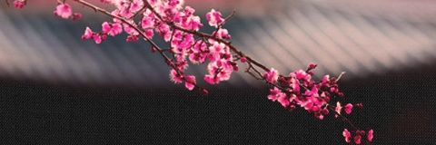 Mahaw_Abdullah's profile banner image