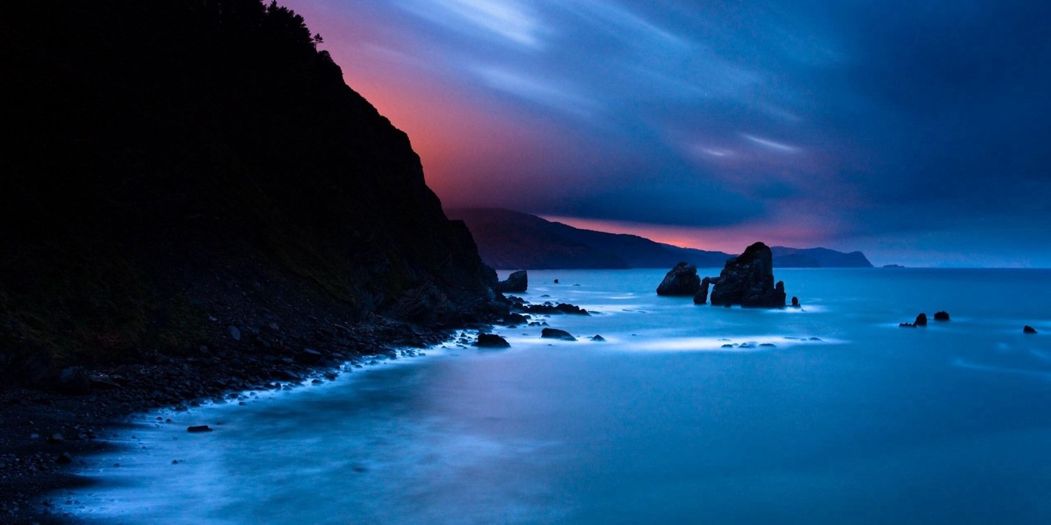 David Bournes banner