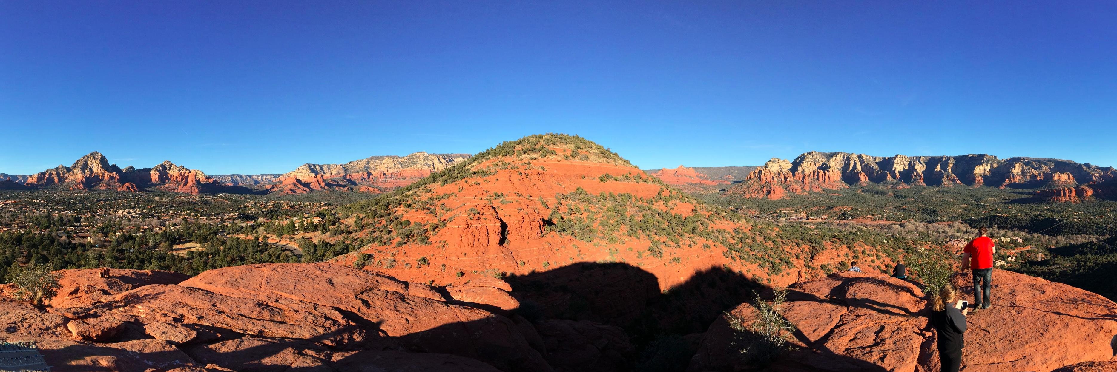 Matthew Sumner banner