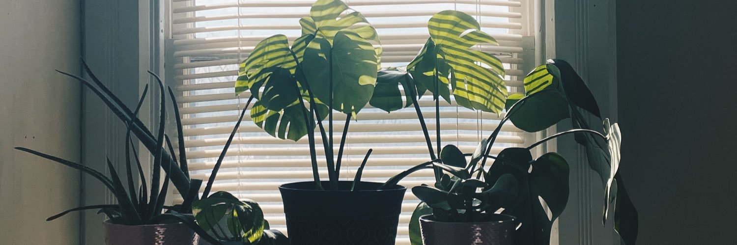 _savedbydabell_'s profile banner image