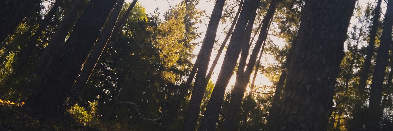 guax_az's profile banner image