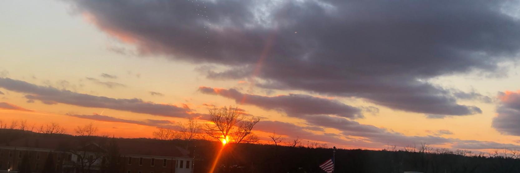 hannah_duda's profile banner image