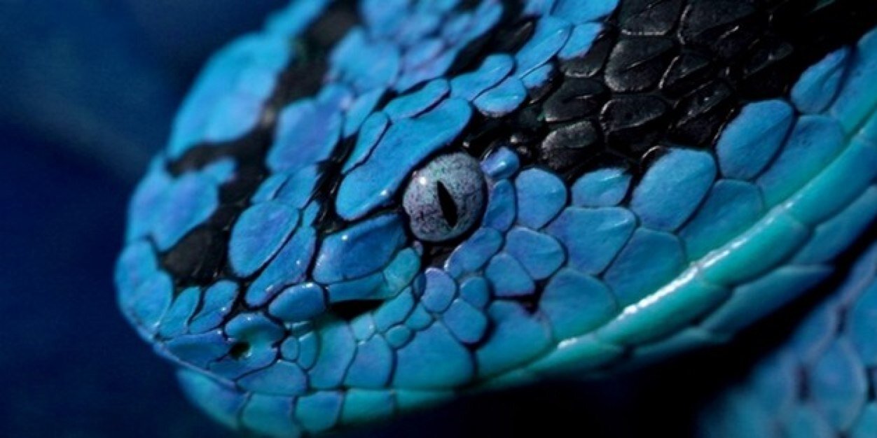 LordeEclagdr's profile banner image