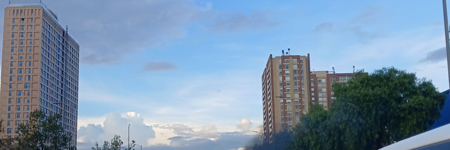 Luzdaryv19's profile banner image