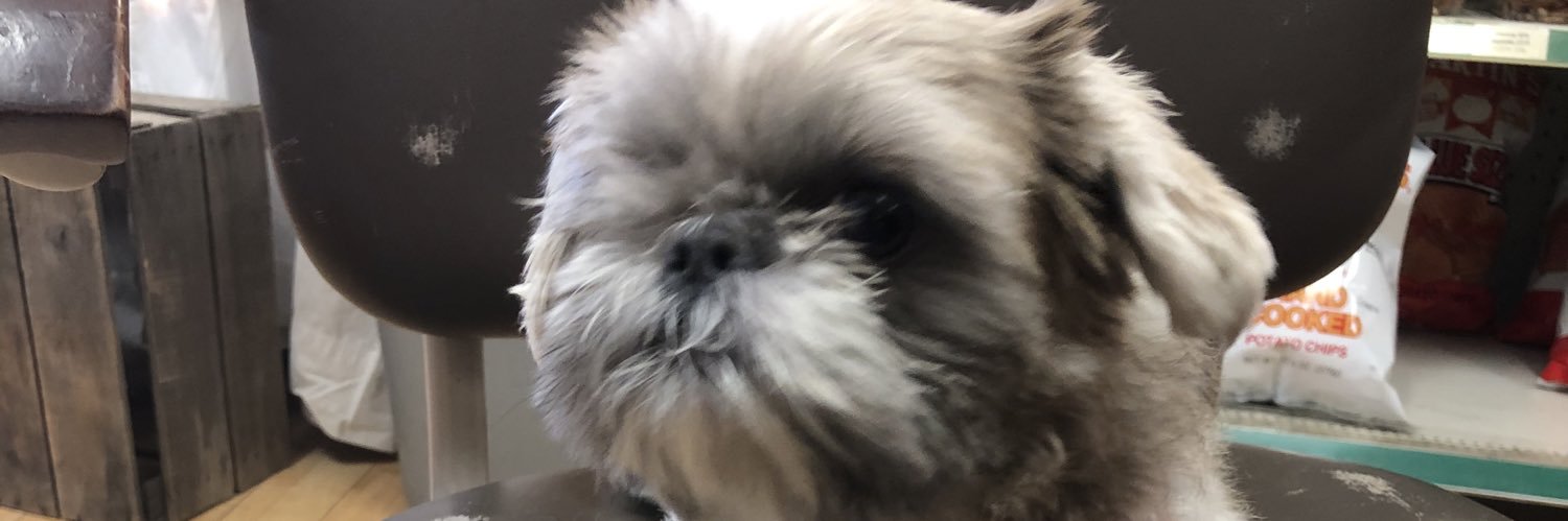 llamas4sinatra's profile banner image