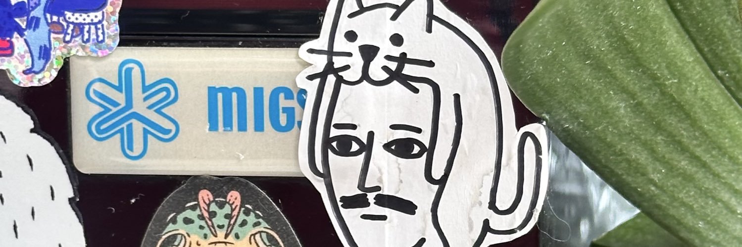 desastre natural banner