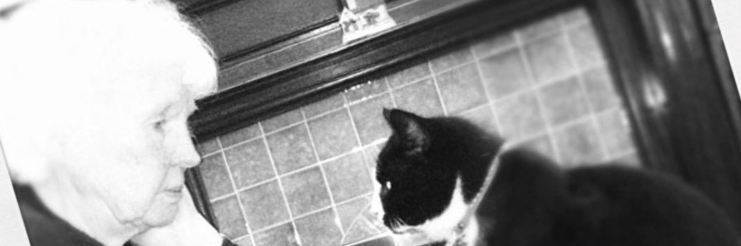 Judderly's profile banner image