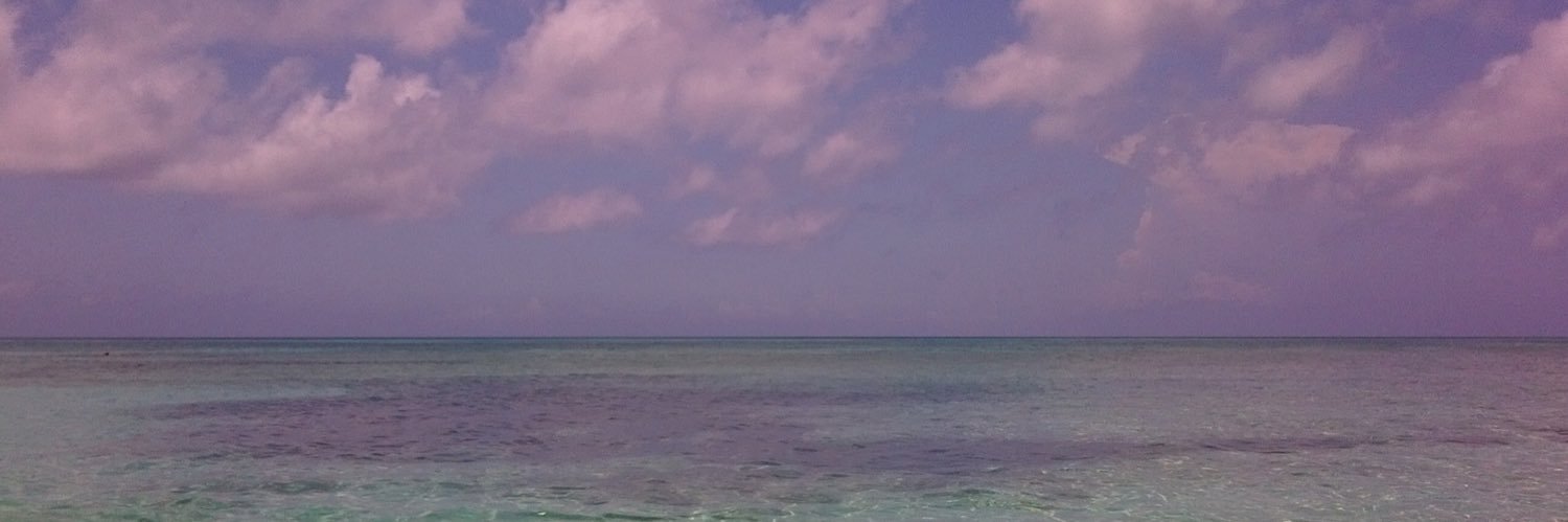 Sylvina Sanchez banner