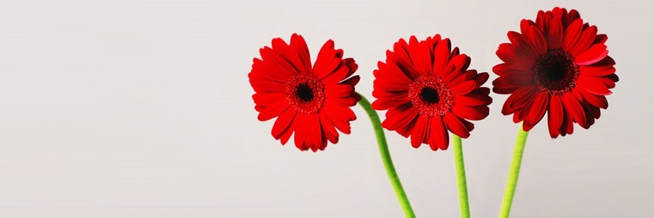 Ram_ram78's profile banner image
