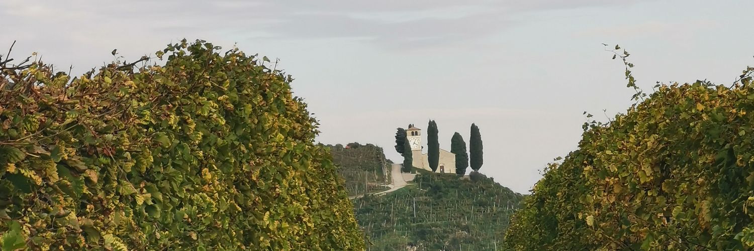 MatteoVarago's profile banner image
