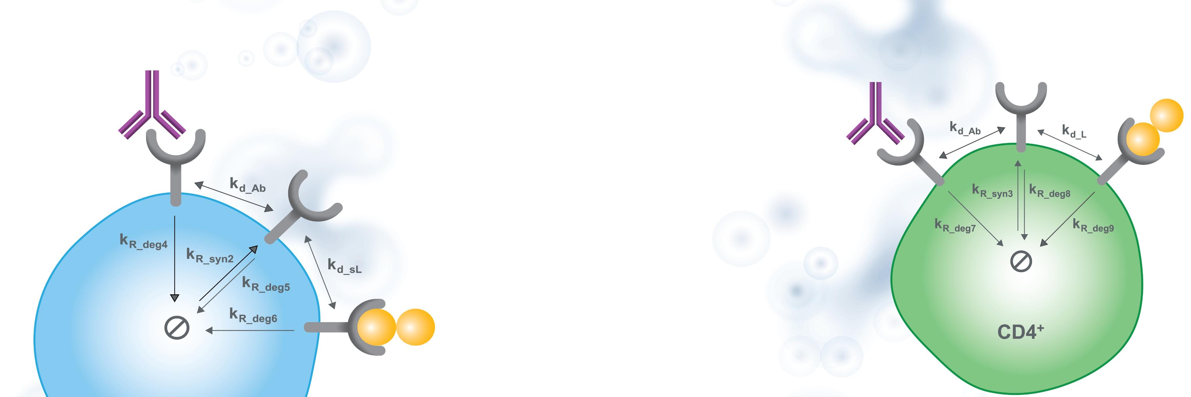 Applied BioMath banner