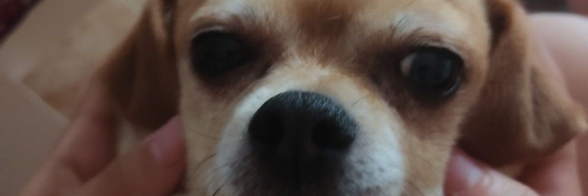 helpmenbr's profile banner image