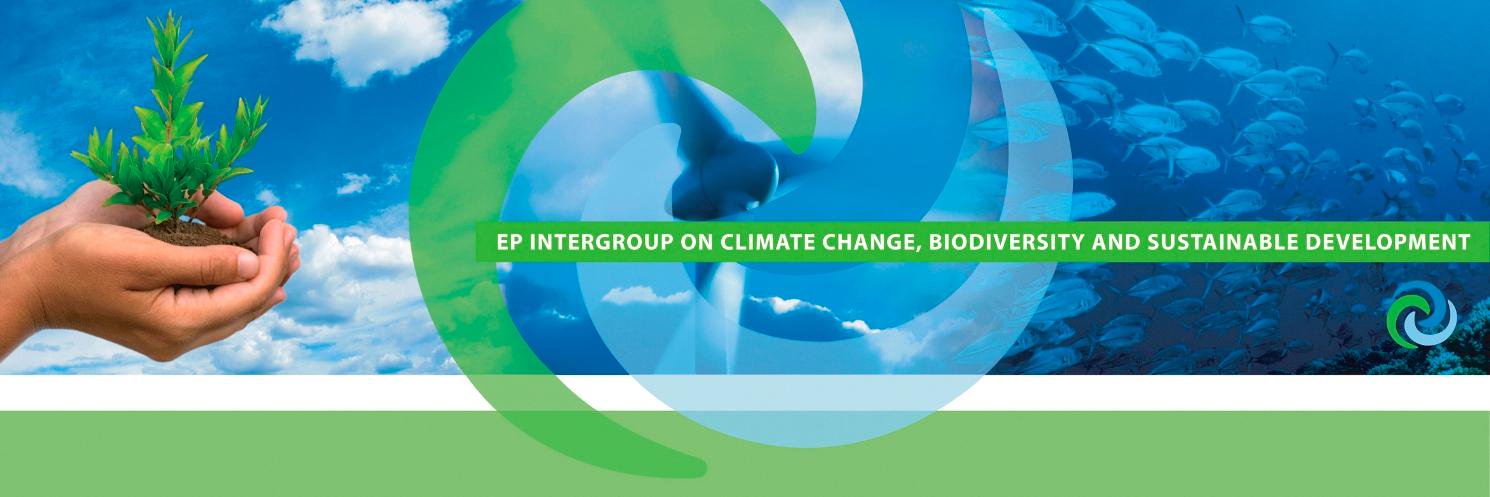 MEP Group CCBSD banner