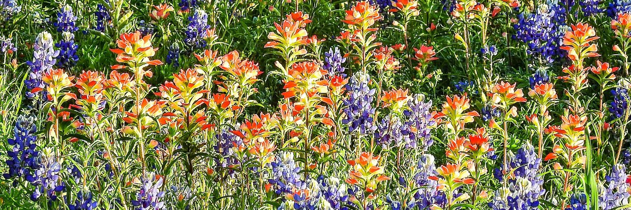 Inks Lake State Park banner