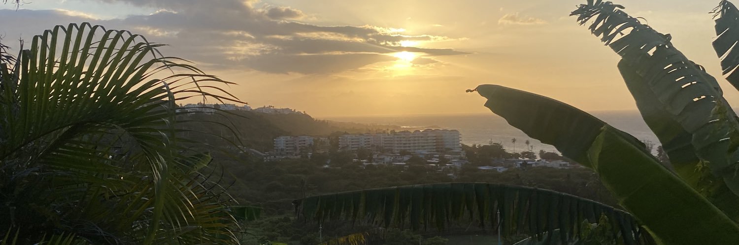 yoiccamalon's profile banner image